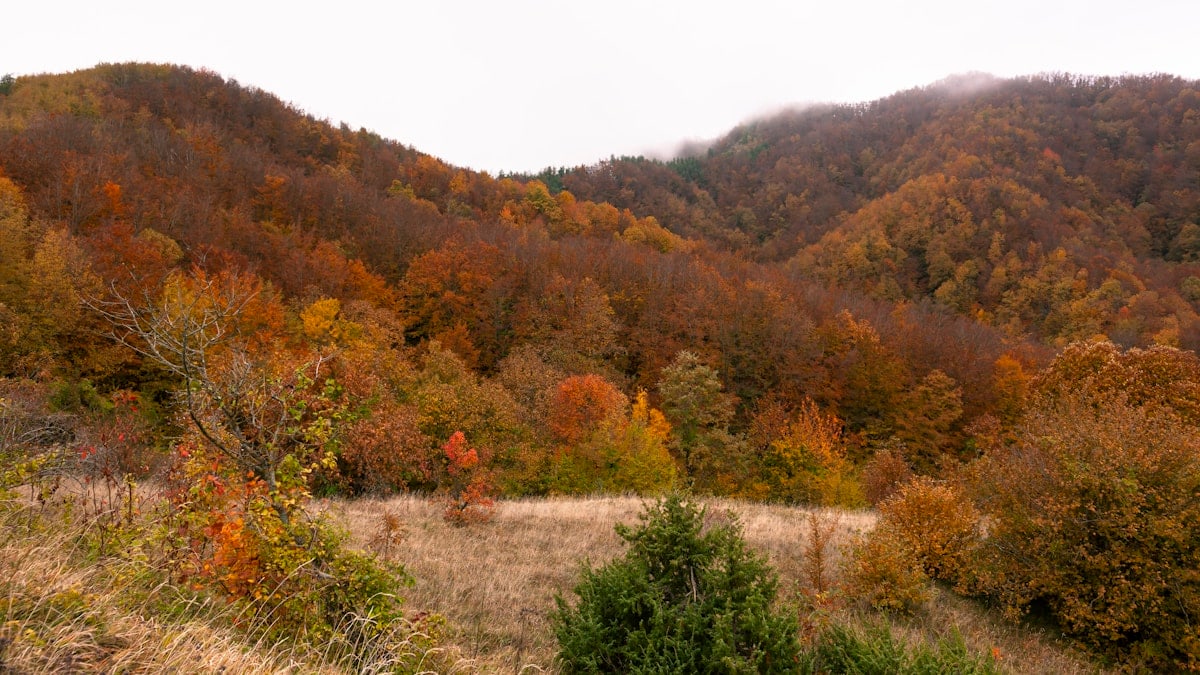Autumn on the hills of the Tuscan-Emilian Apennines